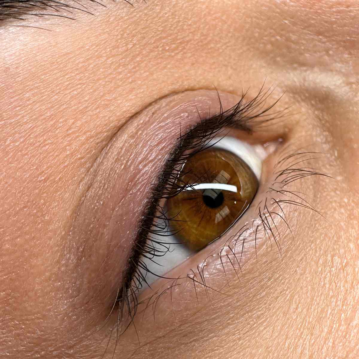 Eyeliner cosmetic tattoo online course