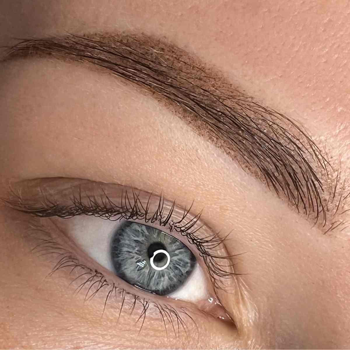 Ombre and Powder Brows online course