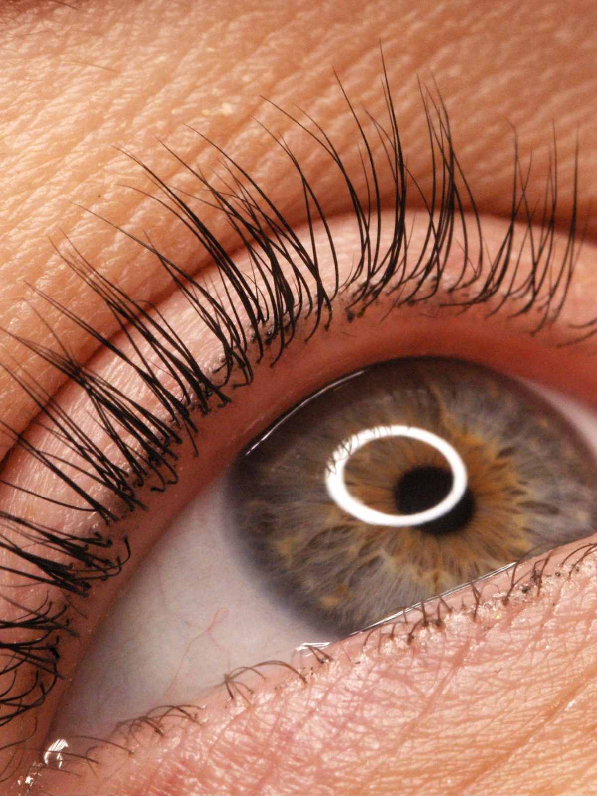 Close up lash lift and tint results