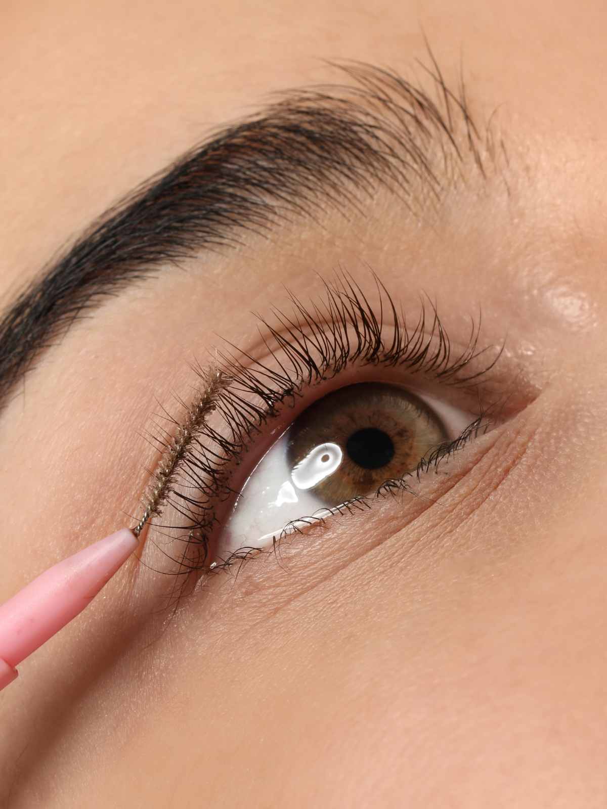 Lash lift and tint treatment results